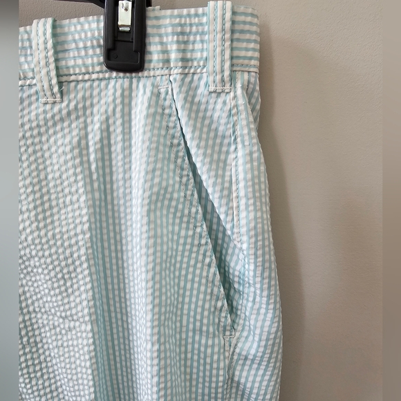 TRUE FLIES Mens Gasparilla Blue & White Seersucker Shorts - Picture 6 of 9